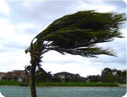 تاثیر قدرت باد